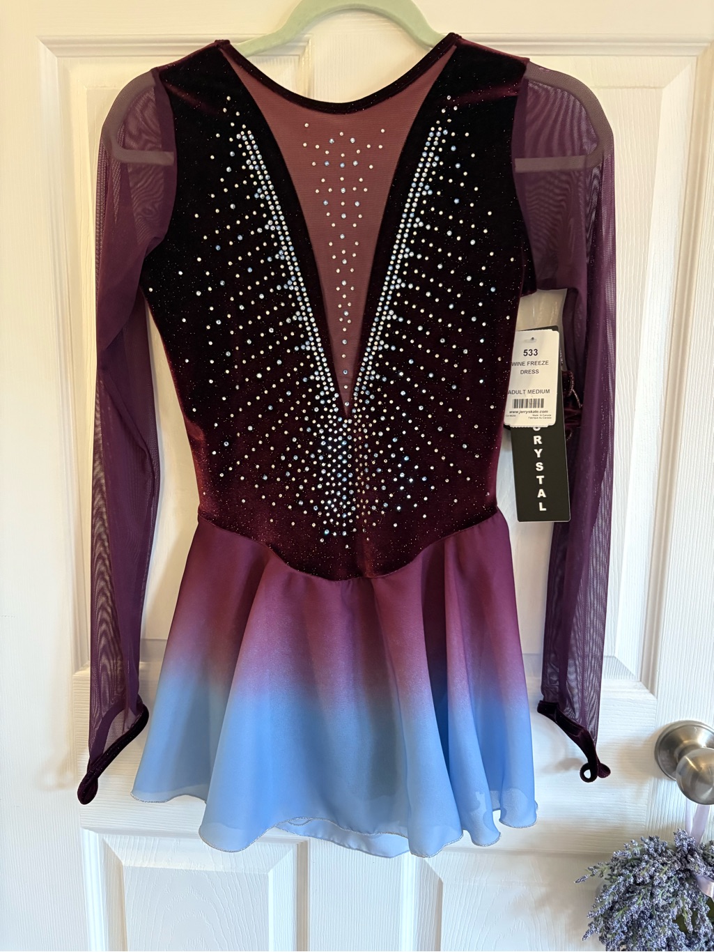Nwt Crystal Embellished Ombre Figure Skating Dress
